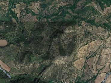 Terreno rustico in vendita a Polígono de Algodonales