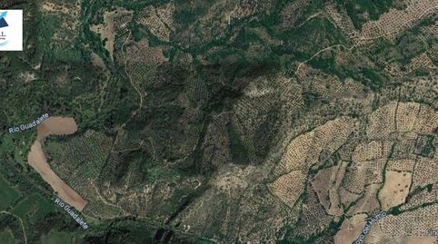Venta Terreno en Algodonales  Cádiz