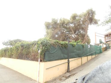 Terreno residenziale in vendita a Calle Pintor Santiago Santana 1A