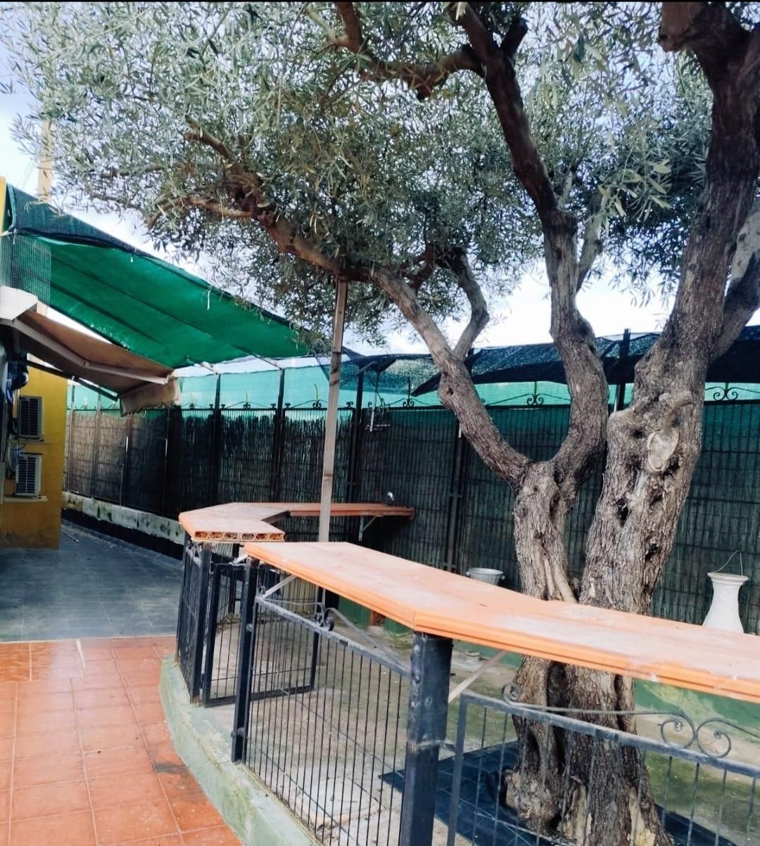 Terrace of House or chalet for sale in Castellón de la Plana / Castelló de la Plana  with Air Conditioner, Private garden and Terrace