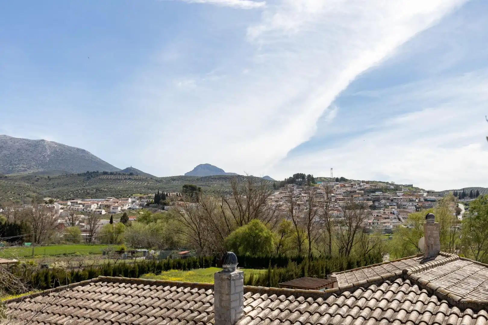 Exterior view of Houses for sale in Deifontes  with Private garden, Terrace and Balcony