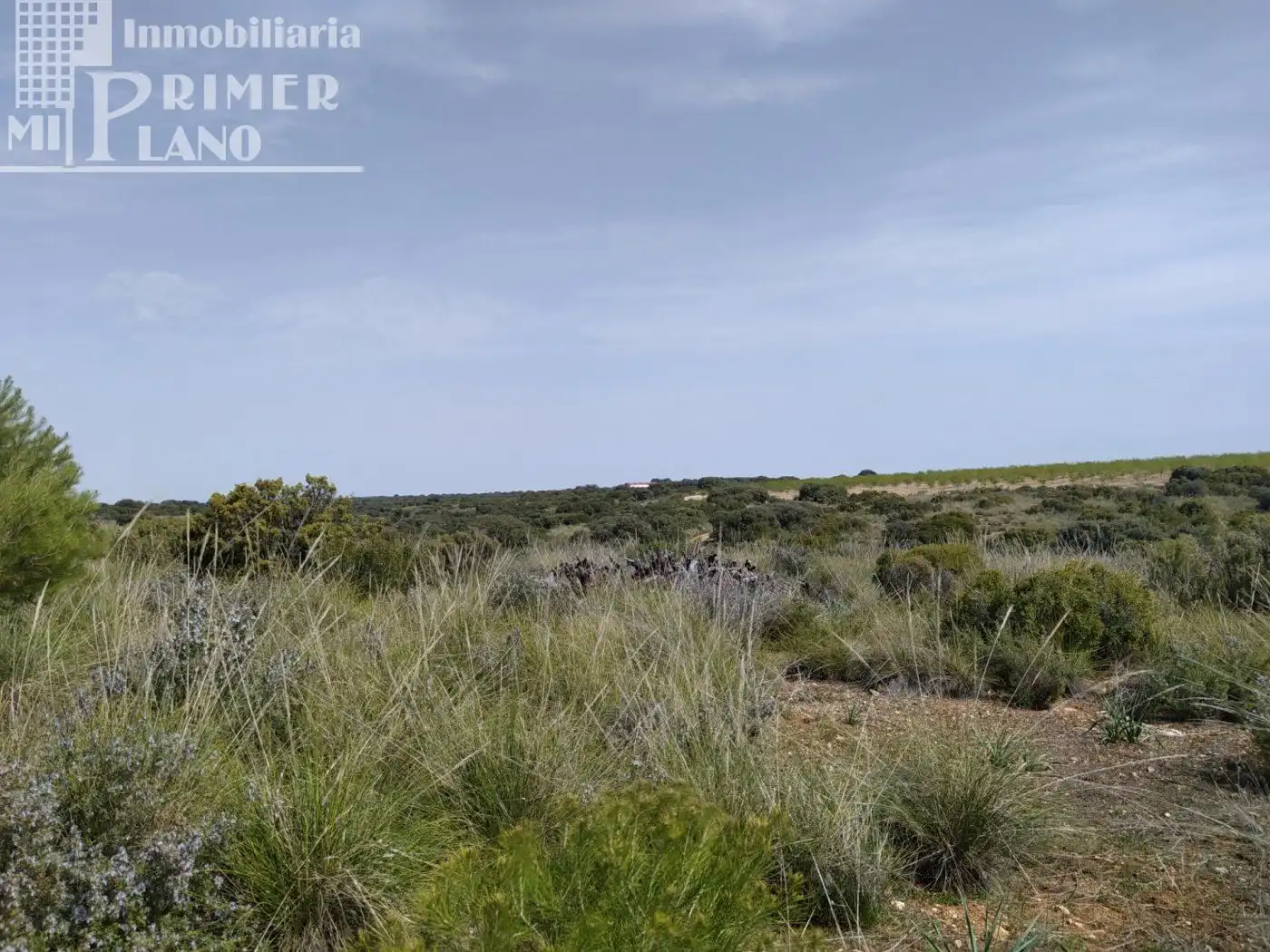 Finca rústica en venta en Socuéllamos