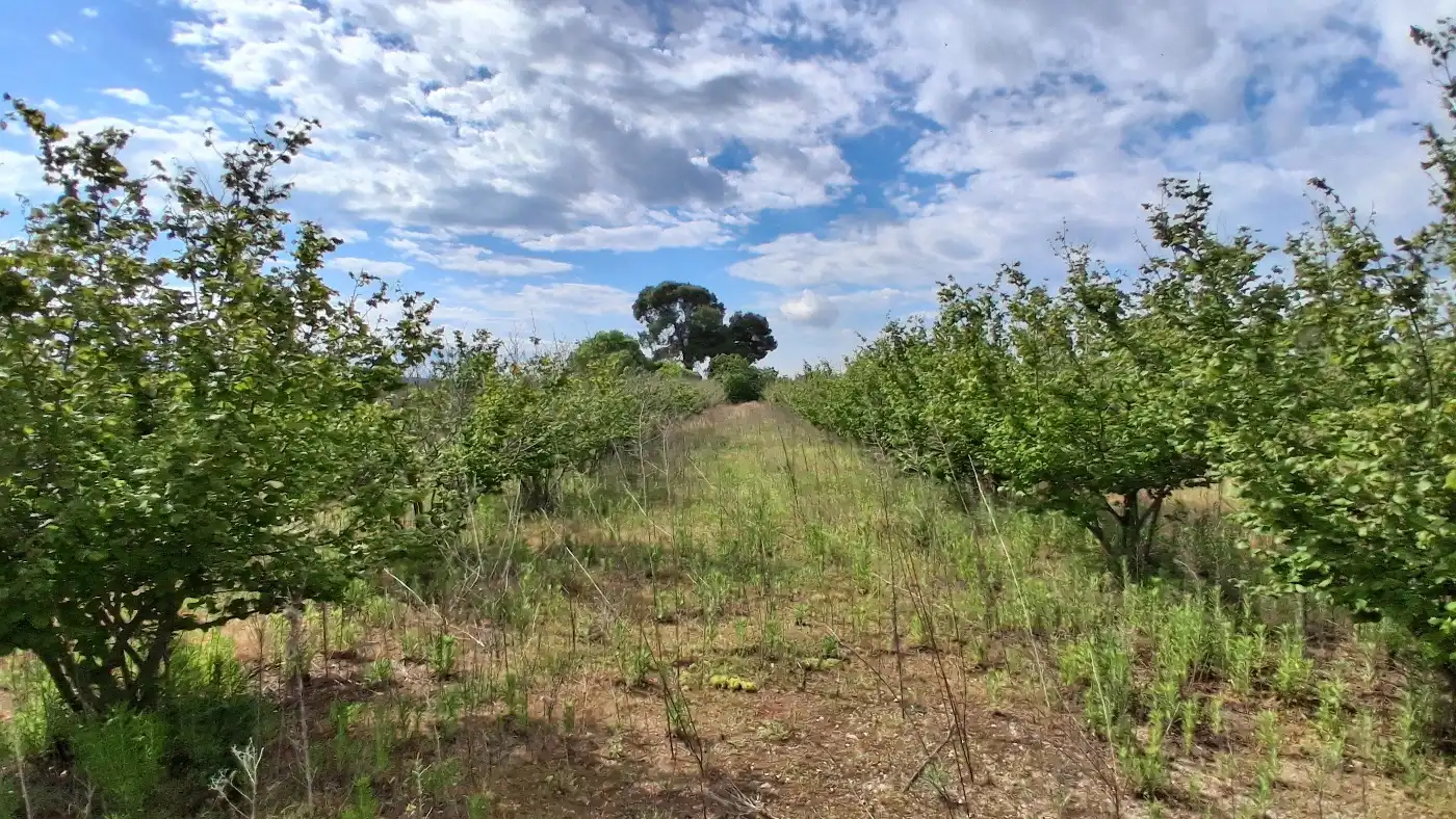 Terreno en venta en El Milà