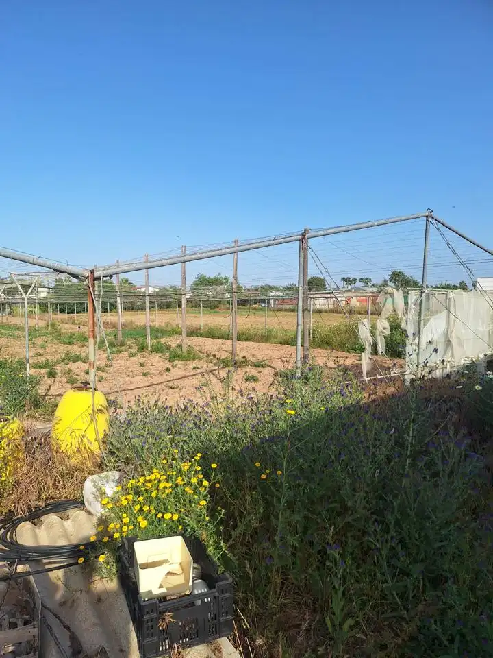 Terreni e lotti in vendita a Pedanías Norte, imagen 12