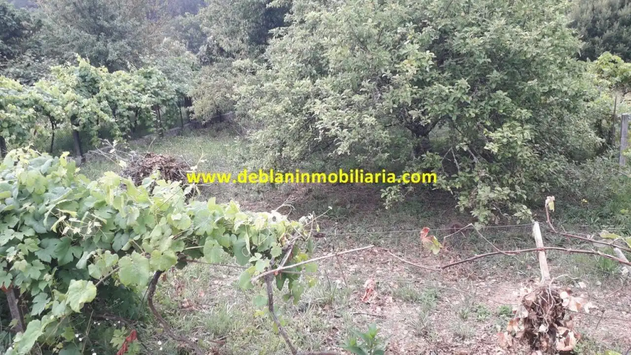 Rural land for sale in Arbo, imagen 2