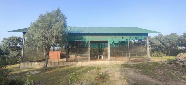 Terreno en Venta en Carretera 519 en Casa Amarilla