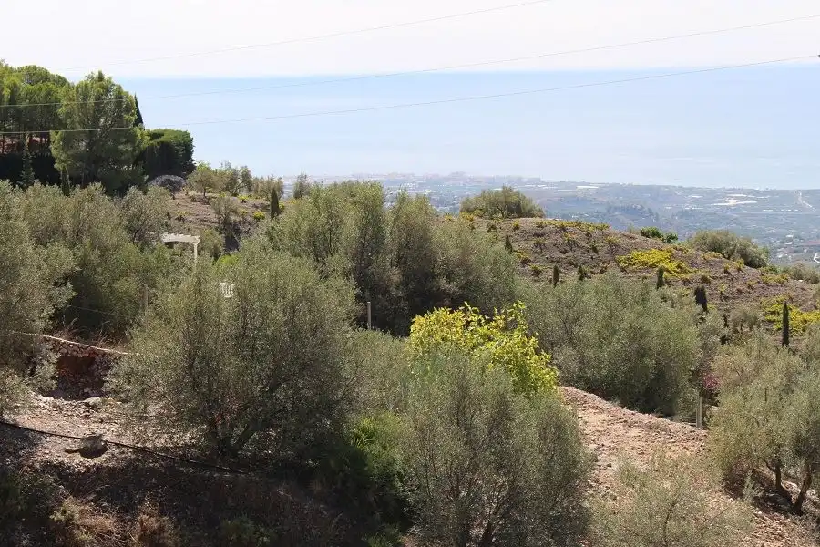 Xalet amb piscina en venda a Frigiliana, imagen 4