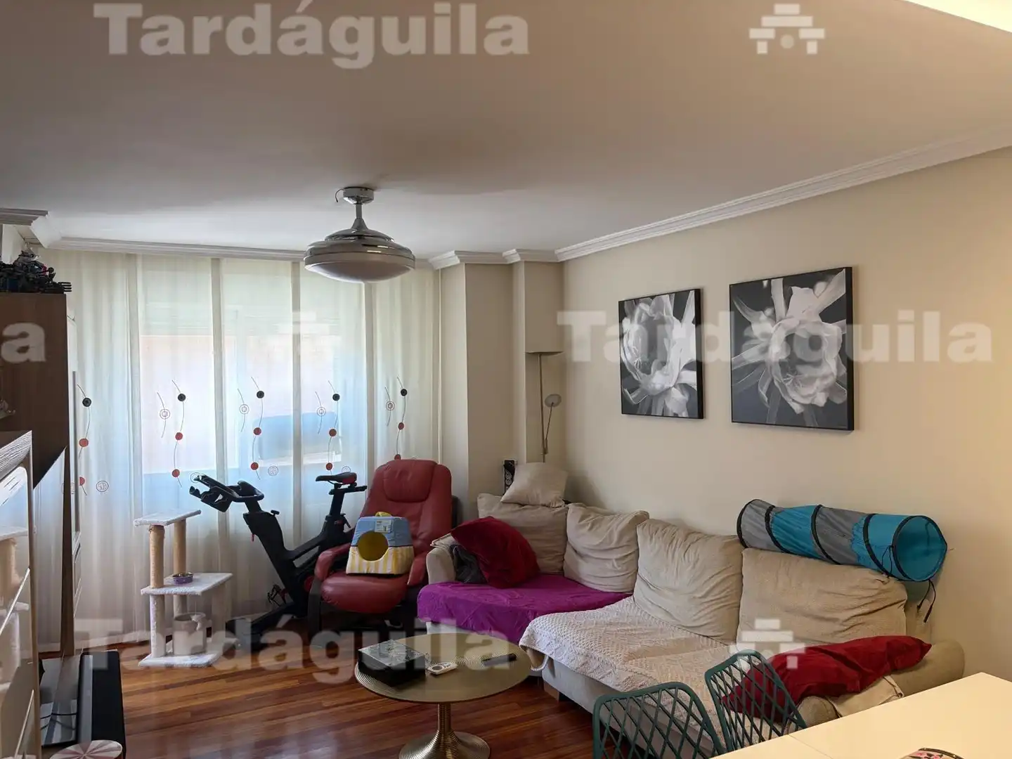Sala d'estar de Pis en venda en Salamanca amb Calefacció i Balcó