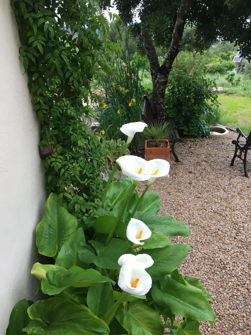 Jardín de Finca rústica en venta en Freginals con Terraza y Trastero
