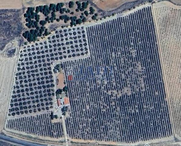 Finca rústica en Venta en Valdepeñas