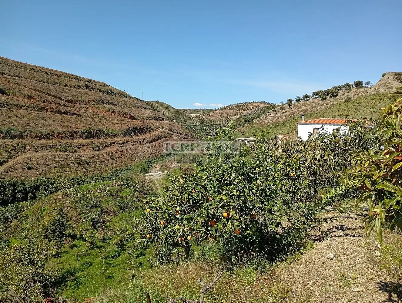 Grundstücke und Bauplätze zum Verkauf in Vélez-Málaga ciudad, imagen 7