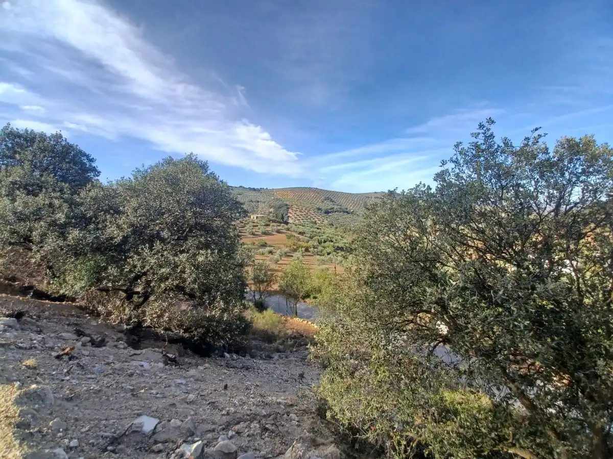 Finca rústica en venda en Loja