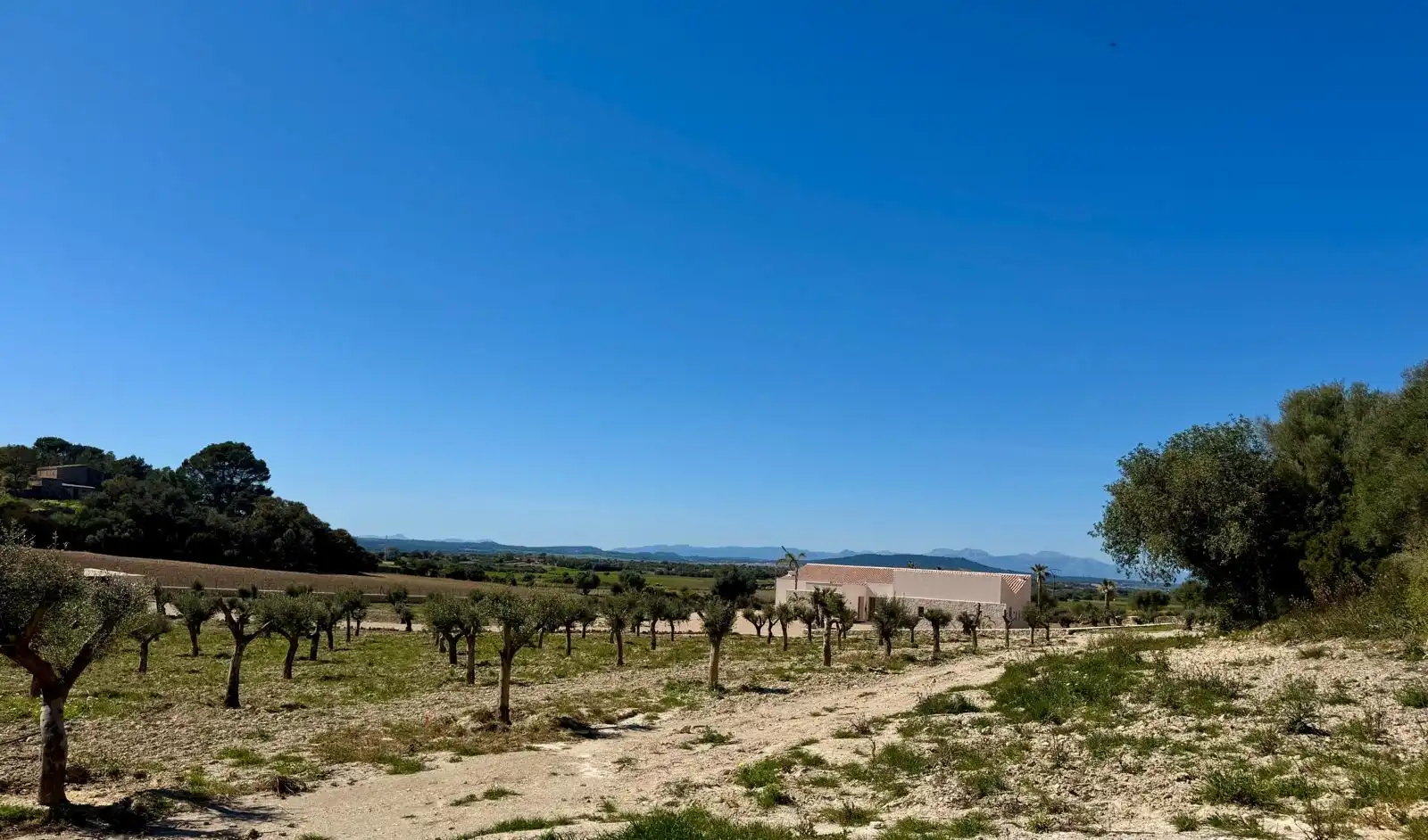 Finca rústica en venda en Manacor amb Aire condicionat, Calefacció i Traster