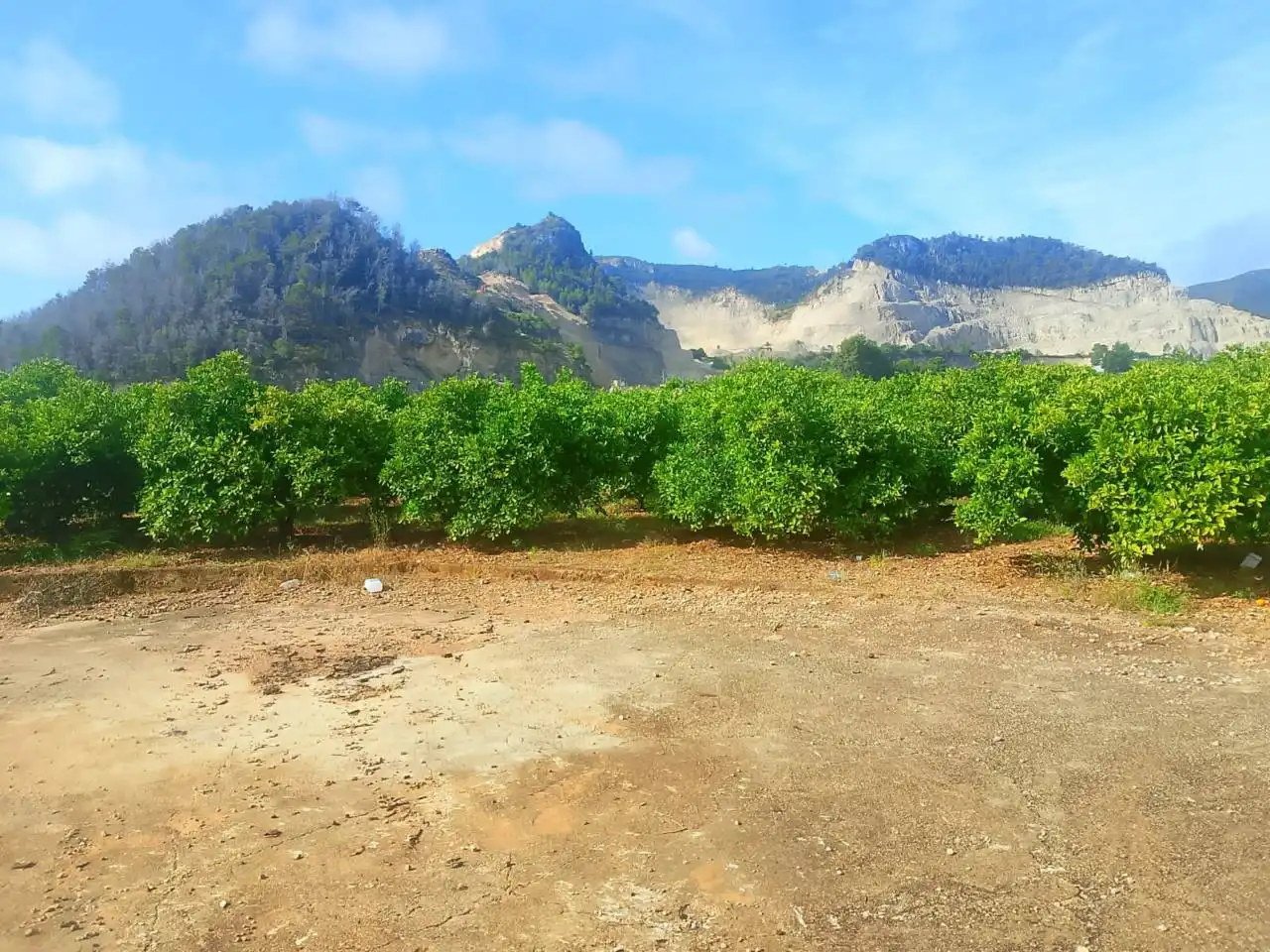 Land for sale in L'Atzúbia