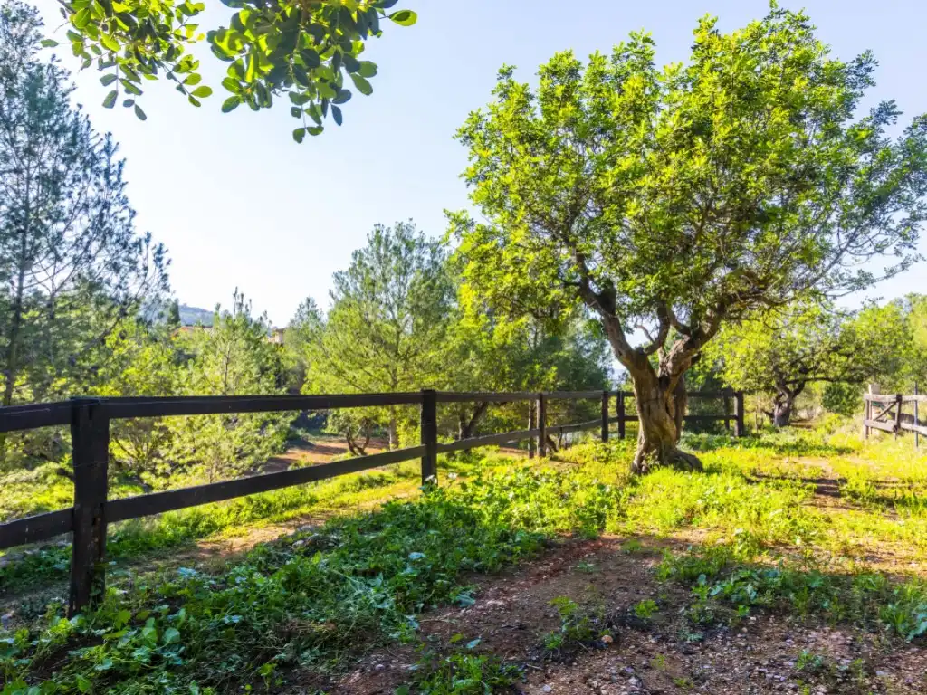 Casa o xalet en venda en Borriol