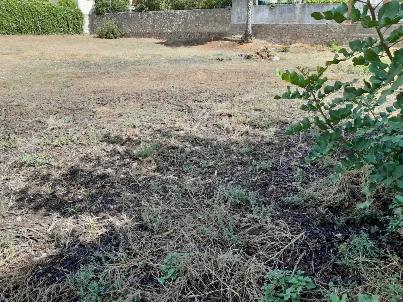 Lands and plots for sale in Norte-Sierra, imagen 2