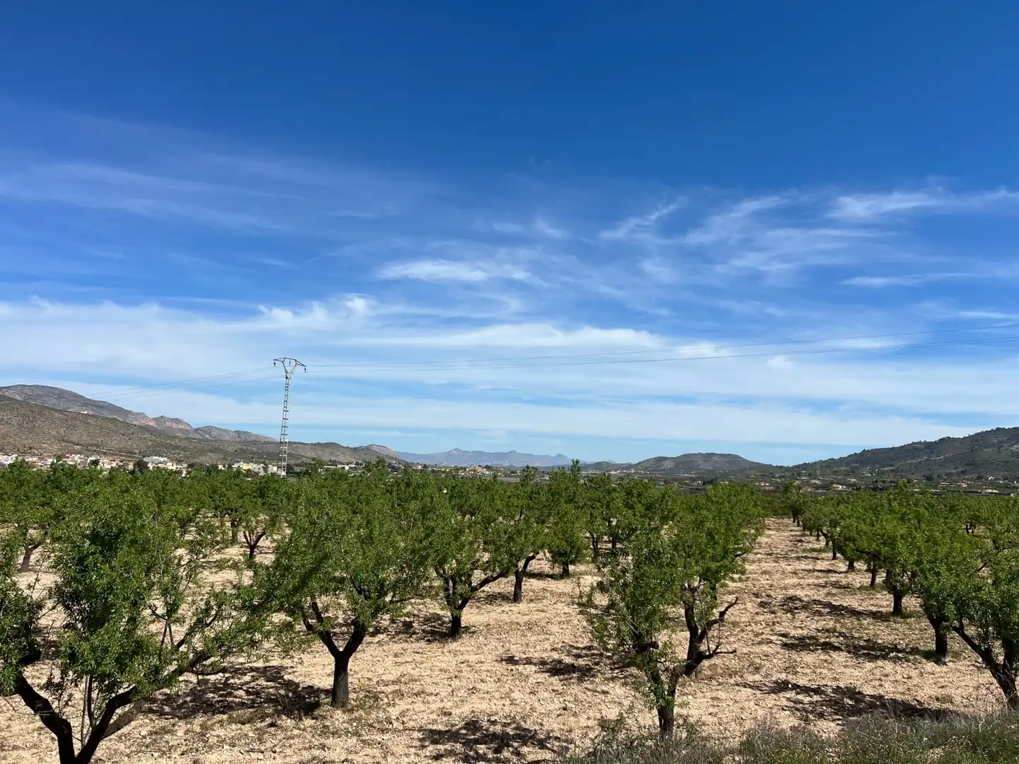 Residential land for sale in Hondón de los Frailes, imagen 7