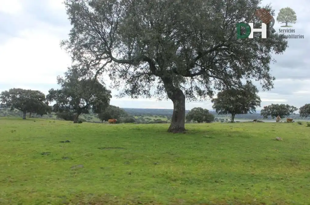 Terreni e lotti in vendita a Valdesalor - Rincón de Ballesteros, imagen 3