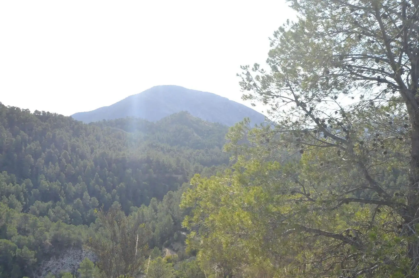 Vista exterior de Casa o xalet en venda en Orxeta amb Terrassa, Traster i Moblat