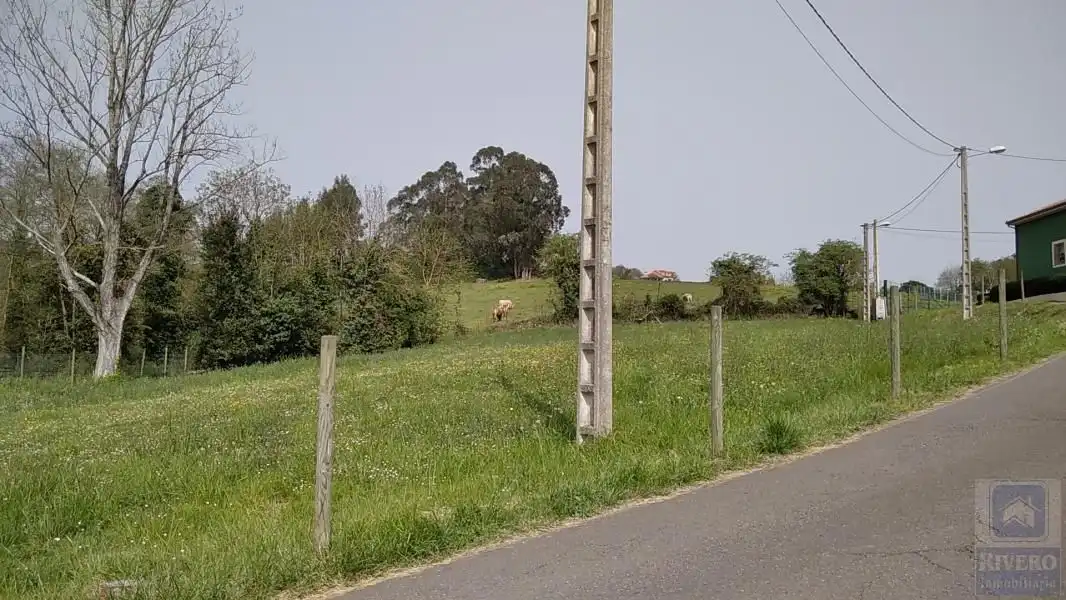 Terreno rustico in vendita a Calle La Peña, imagen 3