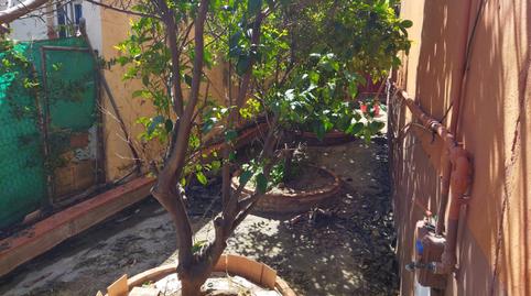 Foto 4 de Casa o xalet de lloguer a Los Llanos, Estepona