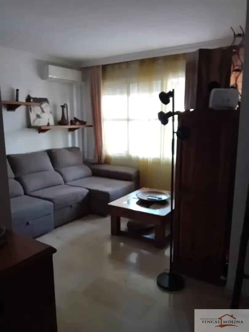 Sala de estar de Piso de alquiler en  Palma de Mallorca con Aire acondicionado, Calefacción y Terraza