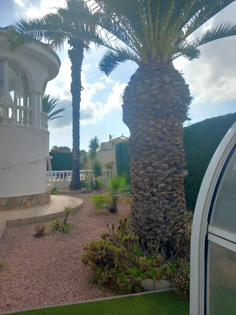 Jardí de Casa o xalet en venda en Rojales amb Aire condicionat, Calefacció i Jardí privat