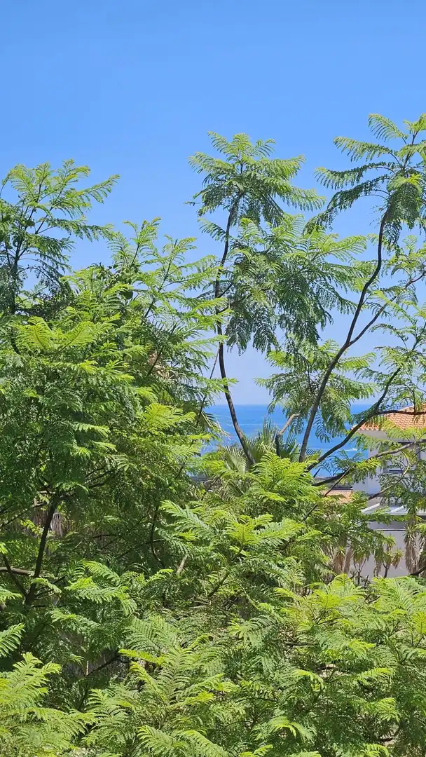 Appartement compact à vendre à Campo de Mijas, imagen 13