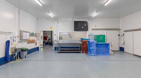 Photo 5 of Industrial buildings to rent in Arañaburu Kalea, 6, Oiartzun, Gipuzkoa