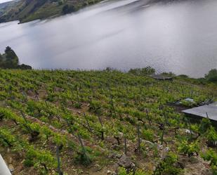 Finca rústica en venda a O Saviñao