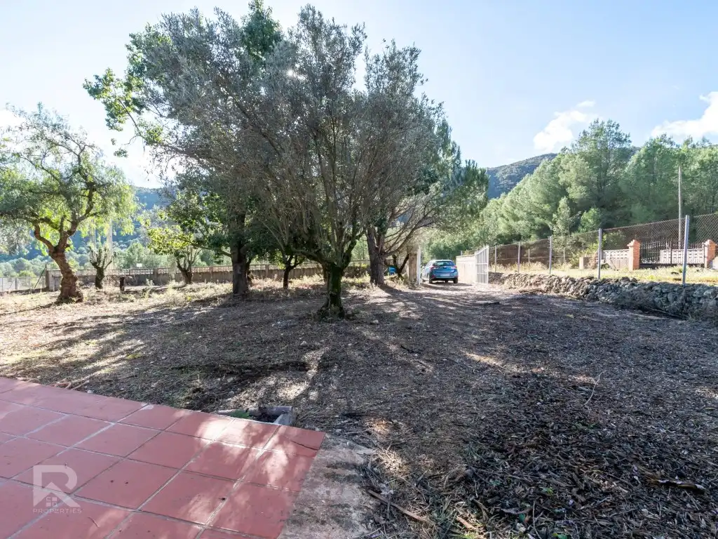 Jardín de Casa o chalet en venta en Vilallonga / Villalonga