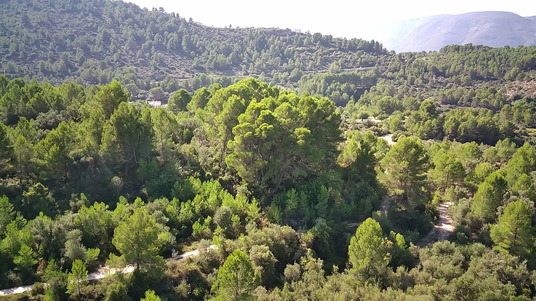 Residential land for sale in Orba, imagen 3