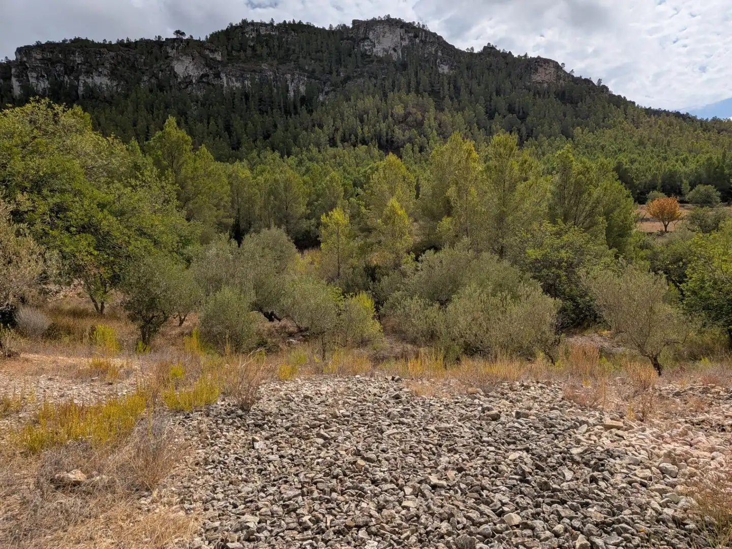 Maison rustique à vendre à Camino  Tivissa 51, imagen 54
