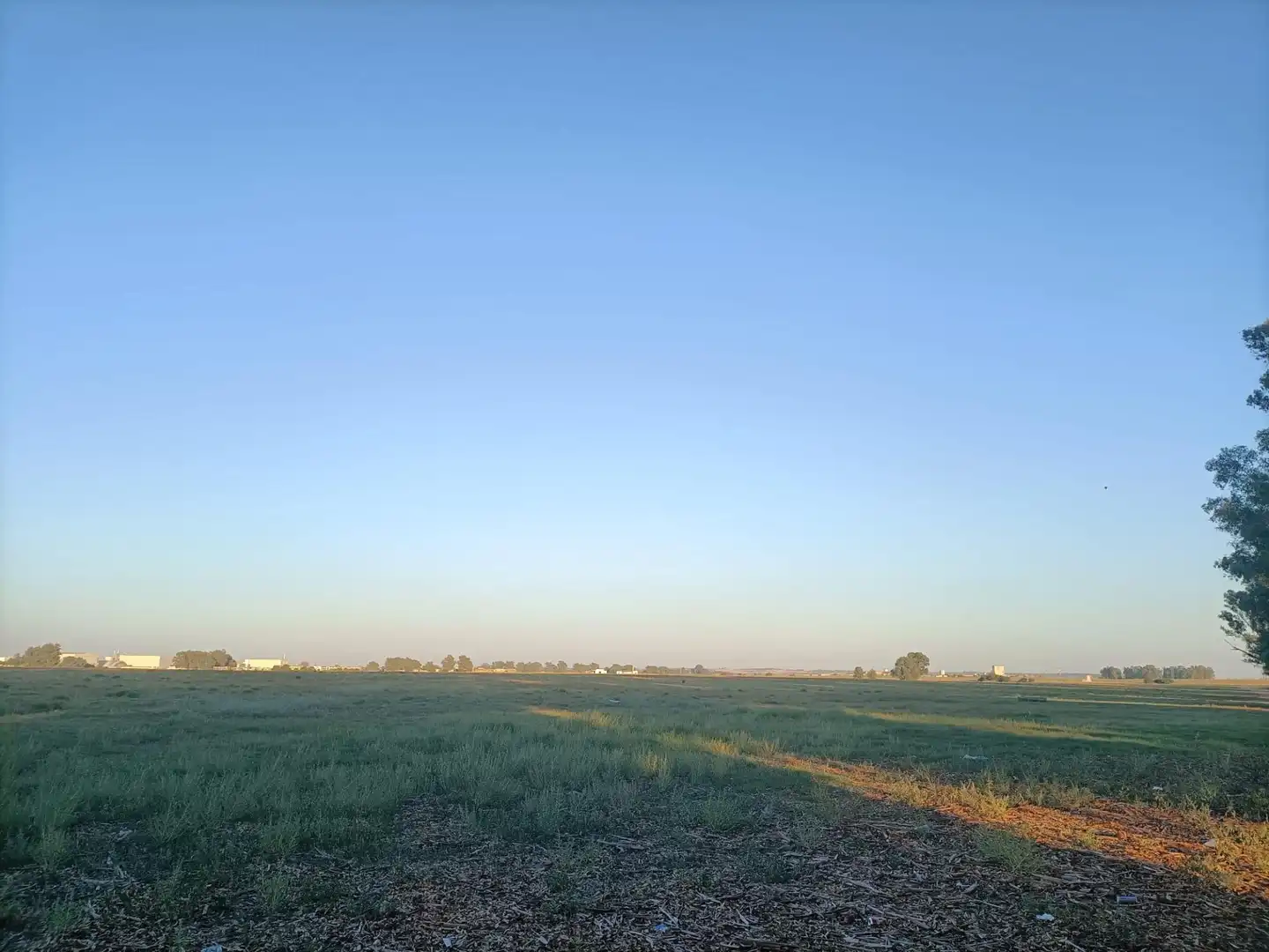 Terreno residenziale in vendita a Este - Alcosa- Torreblanca, imagen 6
