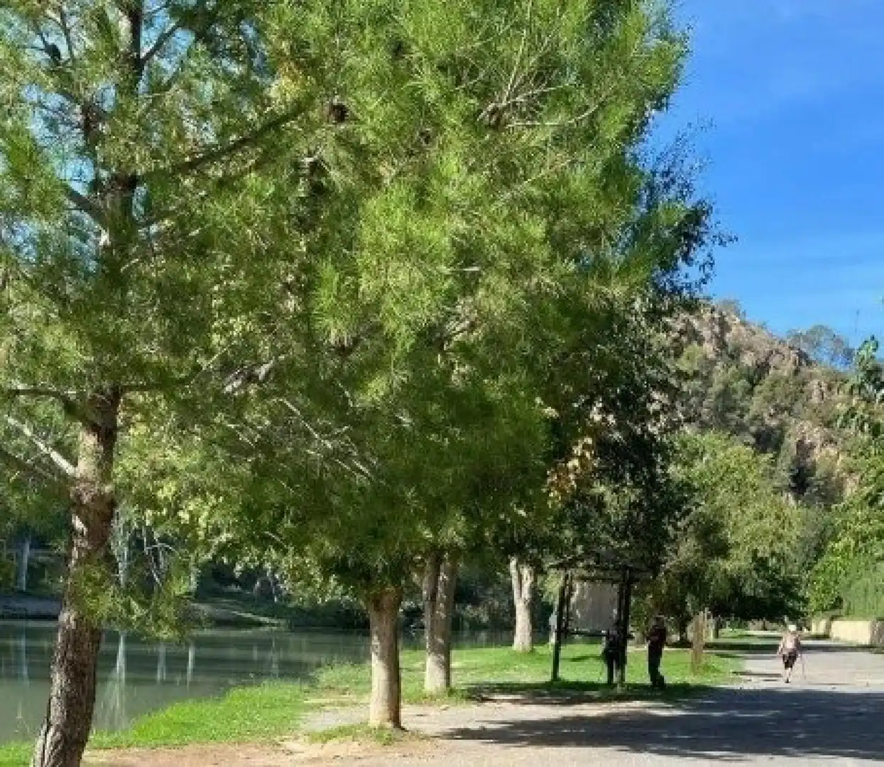 Houses for sale in Bugarra