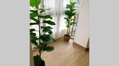 Foto 2 de Pis de lloguer a Alameda - Mentidero - Teatro Falla, Cádiz