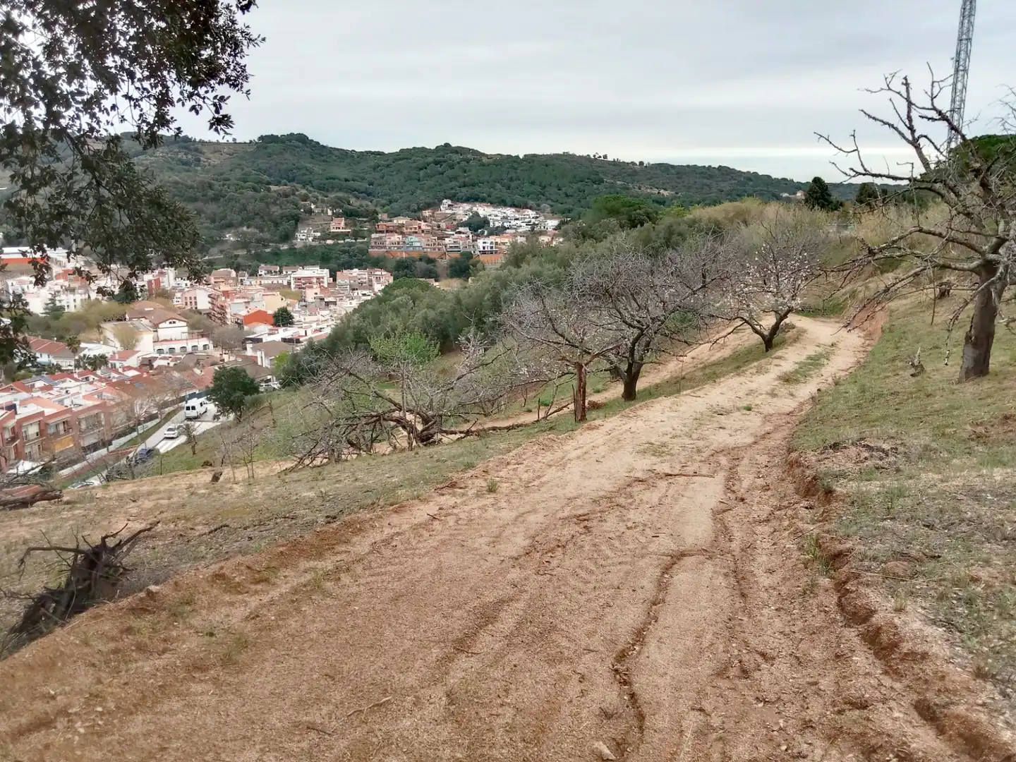 Land for sale in Arenys de Munt