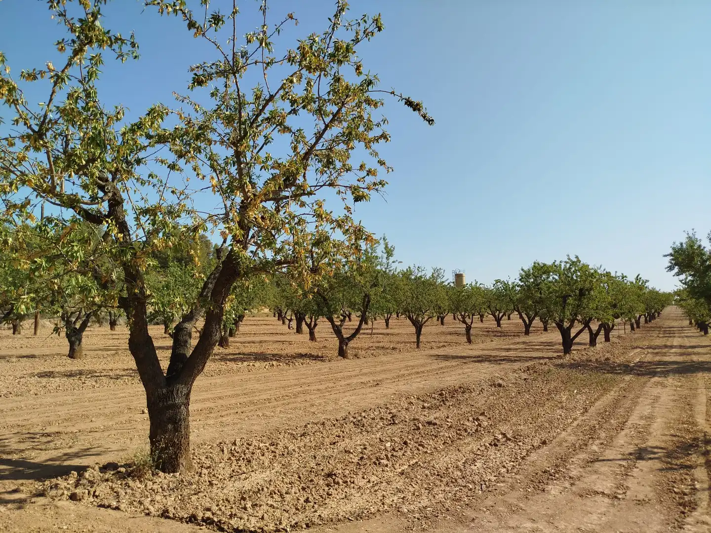 Rural land for sale in Horta de Sant Joan, imagen 14