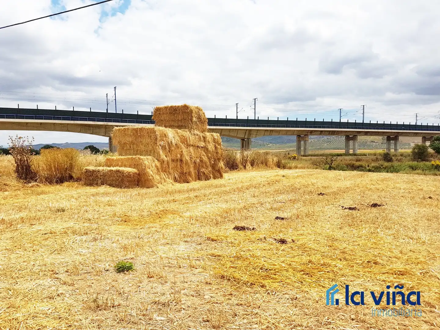 Terrenys i solars en venda a Zona de la Vega, imagen 6