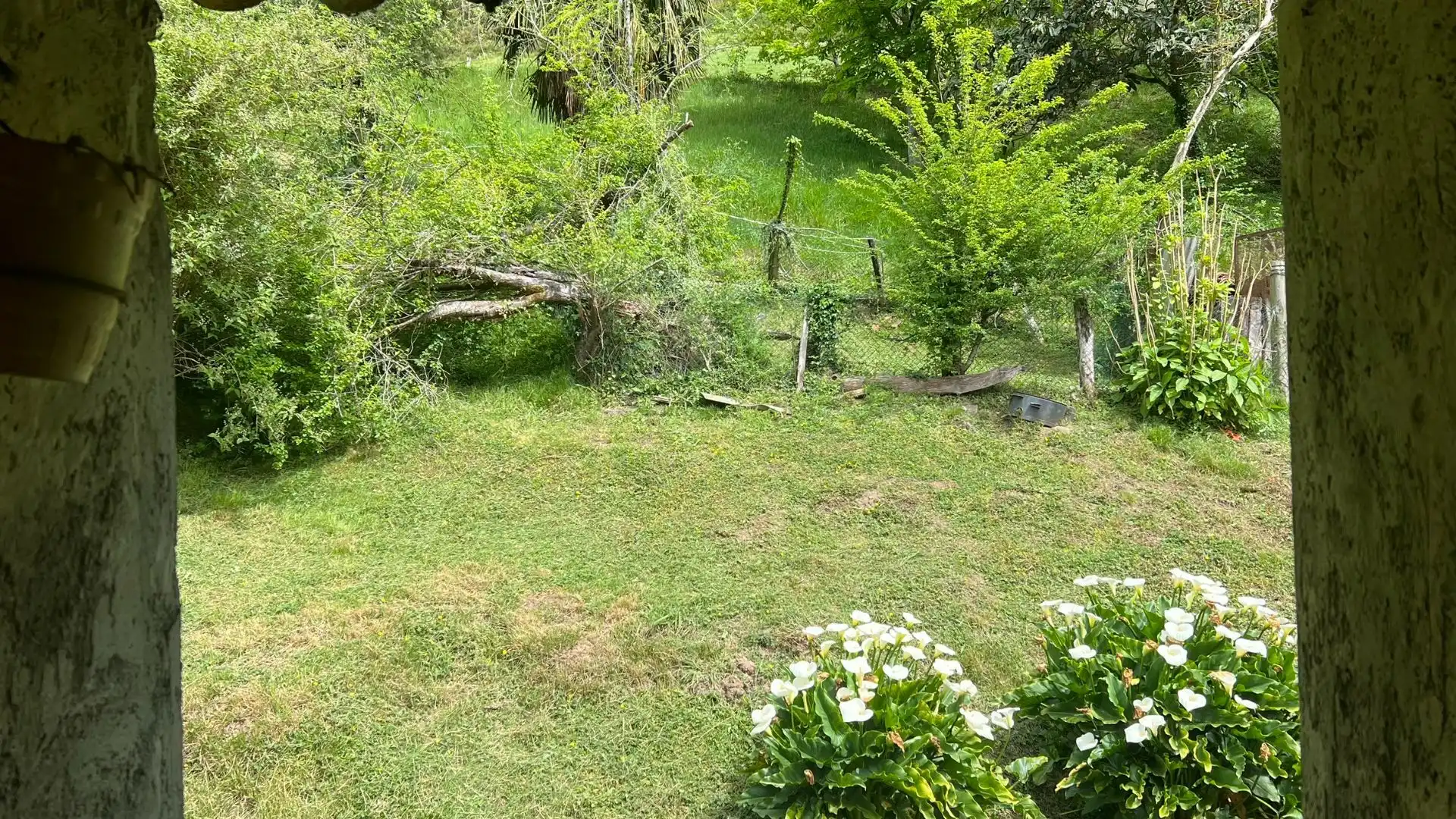 Casa o xalet en venda en Cangas de Onís amb Jardí privat