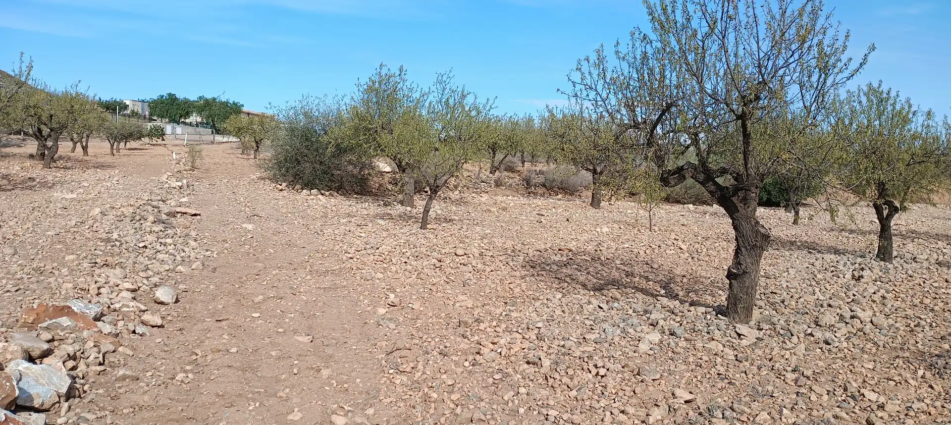 Rustikales Grundstück zum Verkauf in Pedanías Oeste