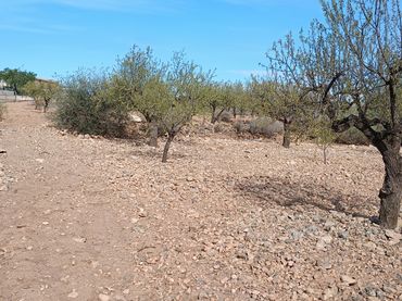 Terreno rustico in vendita a Pedanías Oeste