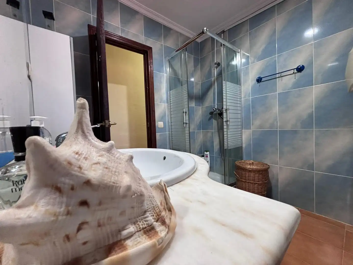 Baño de Casa o chalet en venta en Torrent con Jardín privado, Piscina y Amueblado