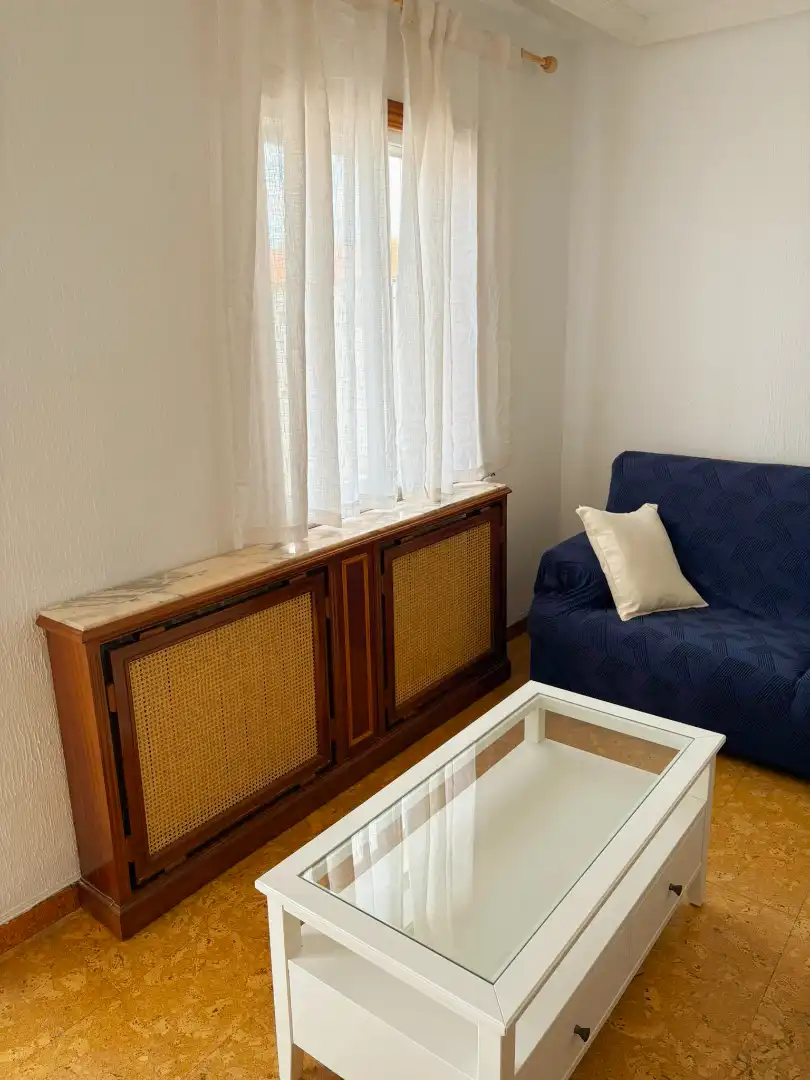 Living room of Flat for sale in Palencia  with Heating, Terrace and Furnished