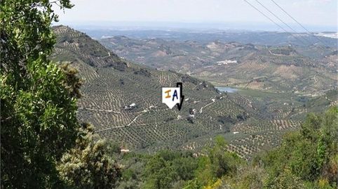 Foto 3 de Finca rústica en venda a Martos, Jaén