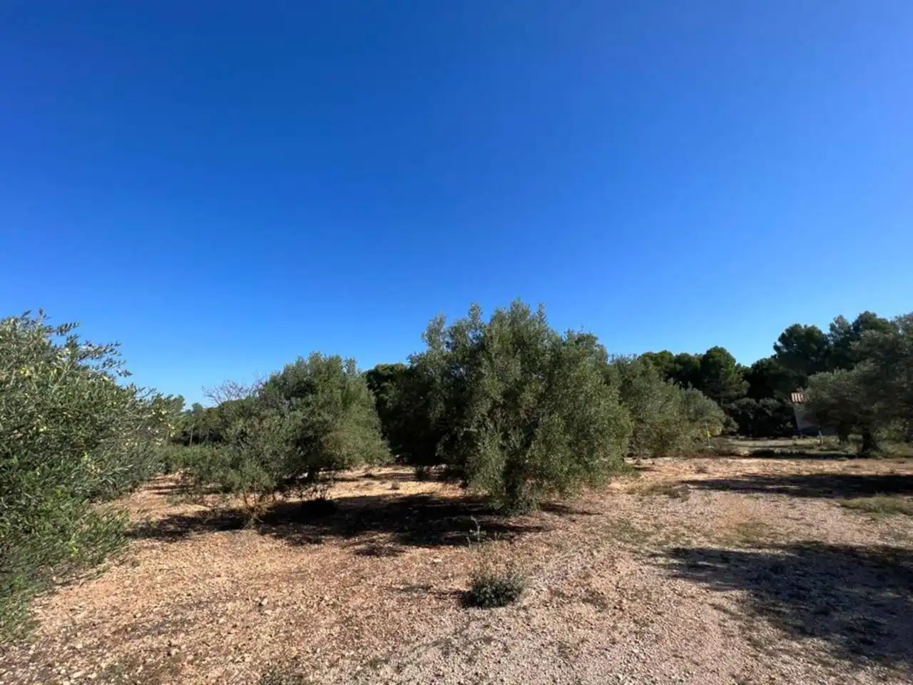 Chalet en venta en Banyeres de Mariola, imagen 13