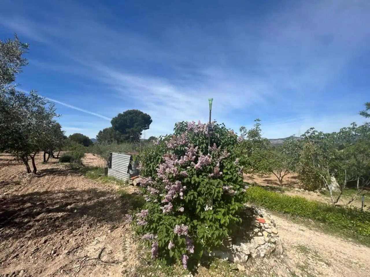 Chalet con jardín en venta en Calle Poligono, imagen 158