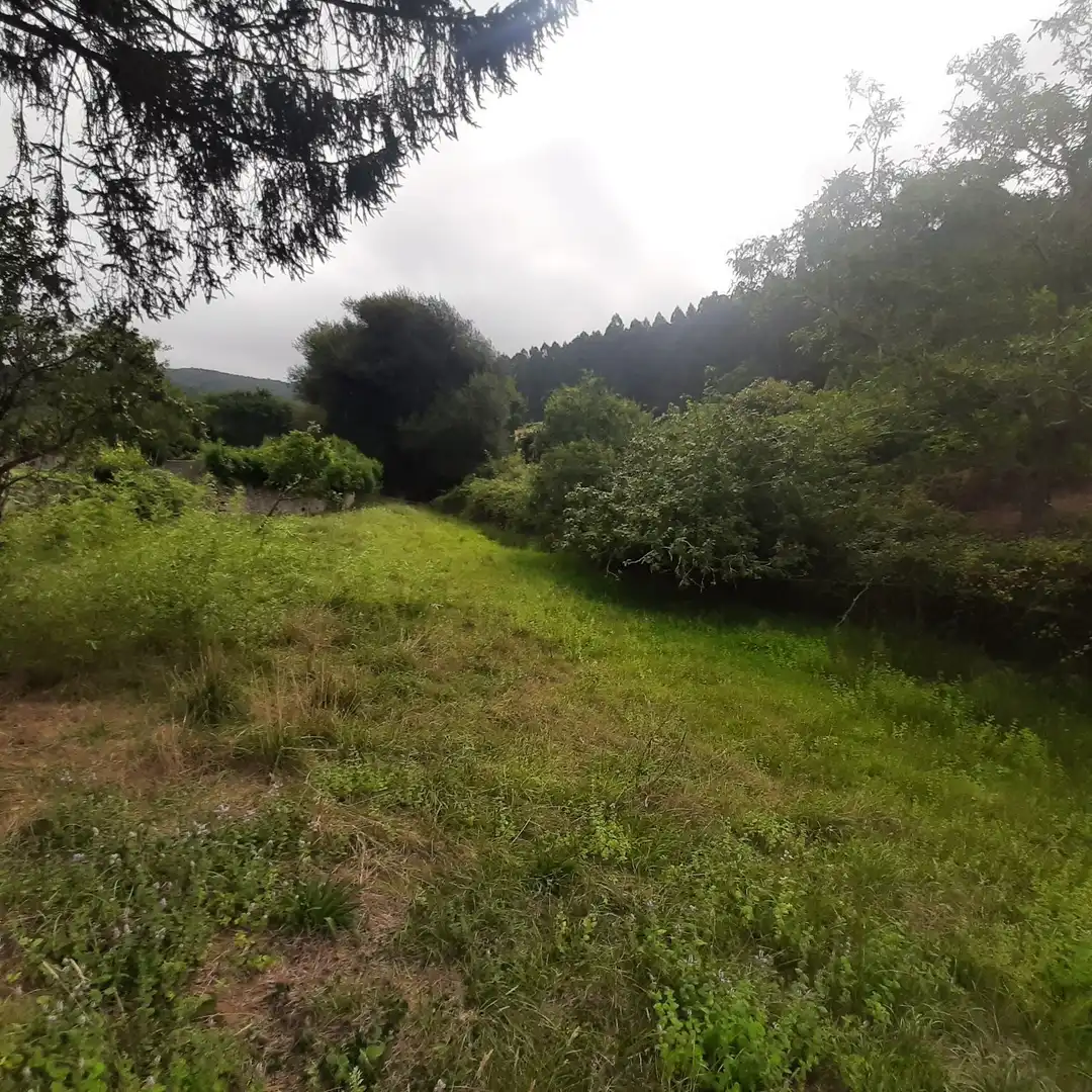 Casa rústica amb jardí en venda a CM TEIXEIRO-PARDIÑEIRAS 5, imagen 13