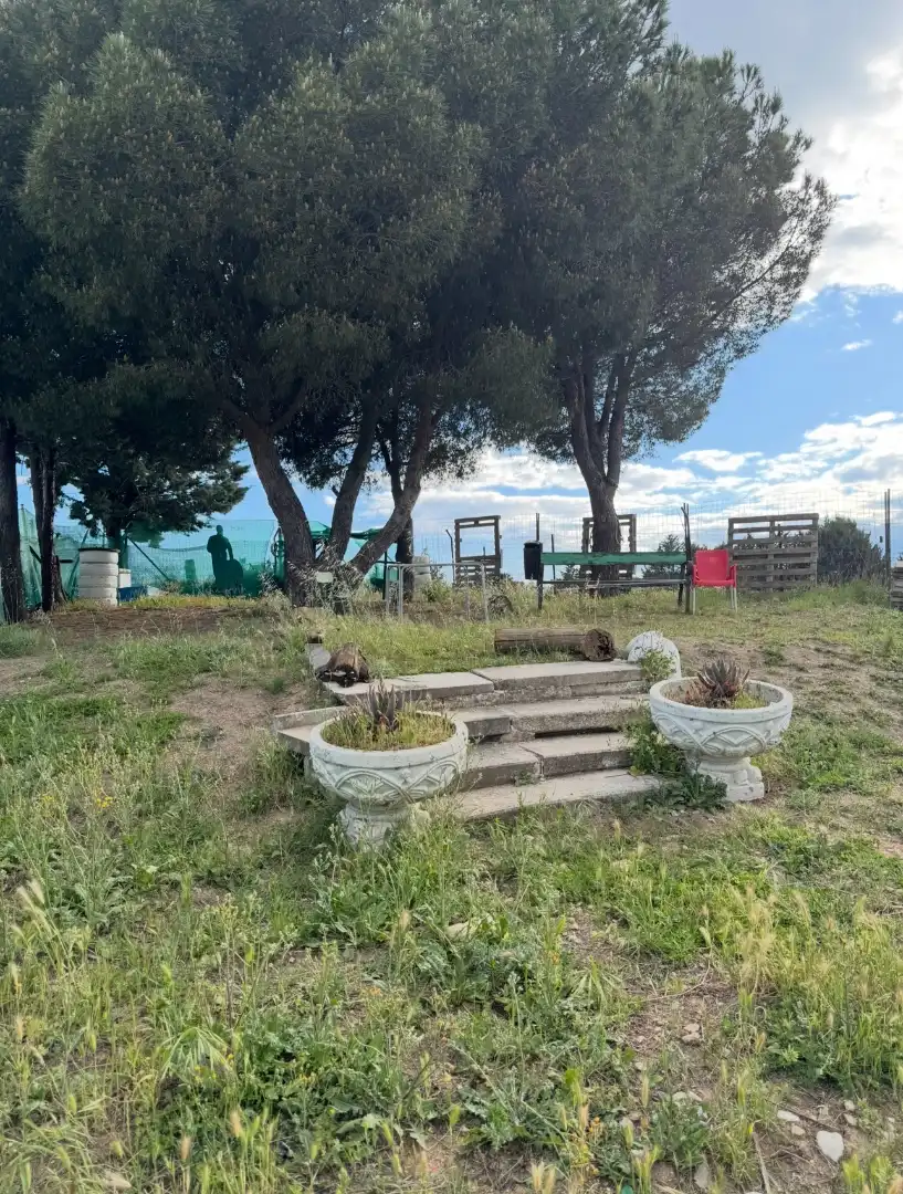 Jardín de Finca rústica en venta en El Molar (Madrid) con Jardín privado, Terraza y Trastero