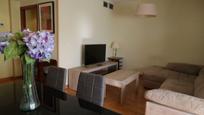 Living room of Apartment to rent in Badajoz Capital  with Air Conditioner, Heating and Terrace